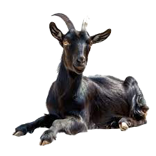 minimal manpower farming